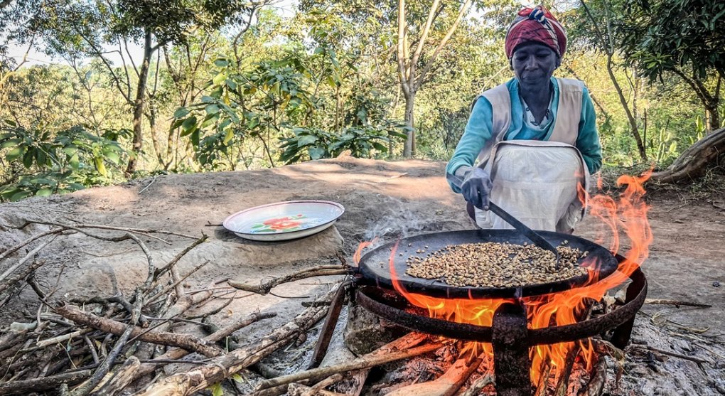 Západ slíbil Africe miliardy dolarů, aby lidé vařili na plynu místo dřeva
