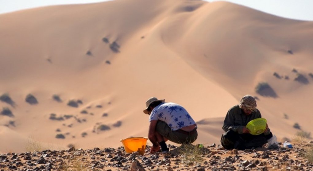 Nejen Egypt. Čeští archeologové rozkrývají historii v Ománu