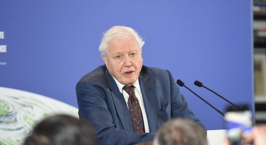 Jak uzdravit planetu? Vyléčený skeptik David Attenborough má návod