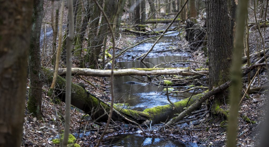 Národní park tady nechceme, zní z obcí Křivoklátska