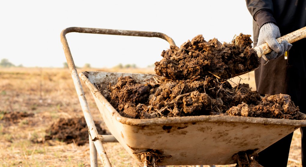 Tripolská kultura na Ukrajině byla převážně vegetariánská. Hnůj ale pomohl rozvoji měst