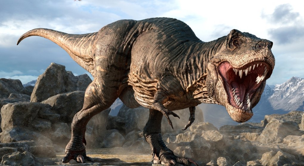 Nová studie: Tyranosaurus měl pysky a zuby necenil
