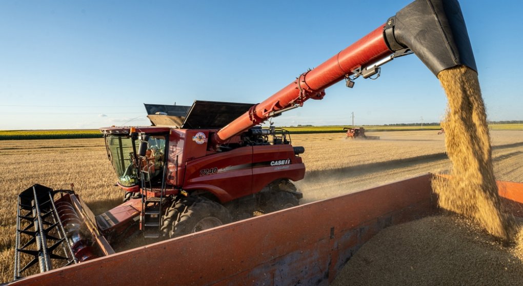 Škrtnout dotace velkým podnikům? Konečně vládu napadlo něco užitečného