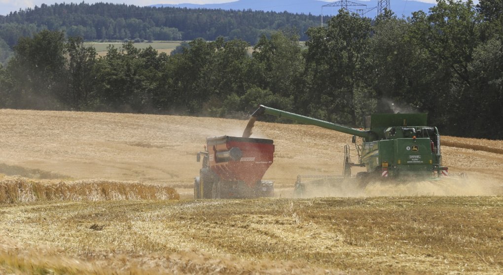 Na poslední chvíli: stát překope dotace vstřícné k velkoagrárníkům