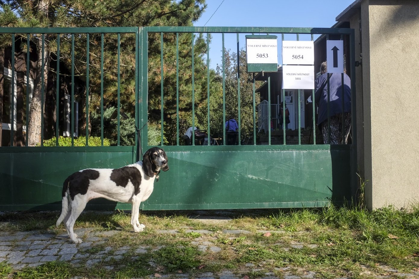 Volby do Poslanecké sněmovny 2021, ilustrační foto